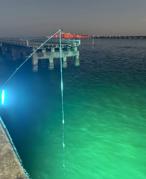 Skyvista 1000W Outdoor Waterproof LED Fishing Light; Fish Attracting Light; Sea Fishing Light; Night Fishing Light; 110V, Multiple Colors Available