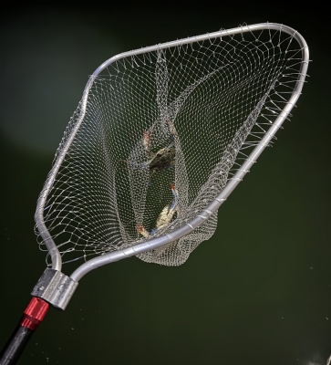 Skyvista 55X60 Aluminum Alloy Landing Net Head, 12MM Screw, with White Net 80CM Depth.